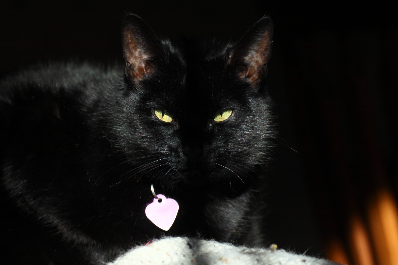 2015 01 23 HTP 000019873e
