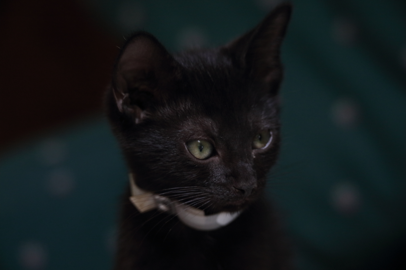 2015 07 02 HTP 000001855