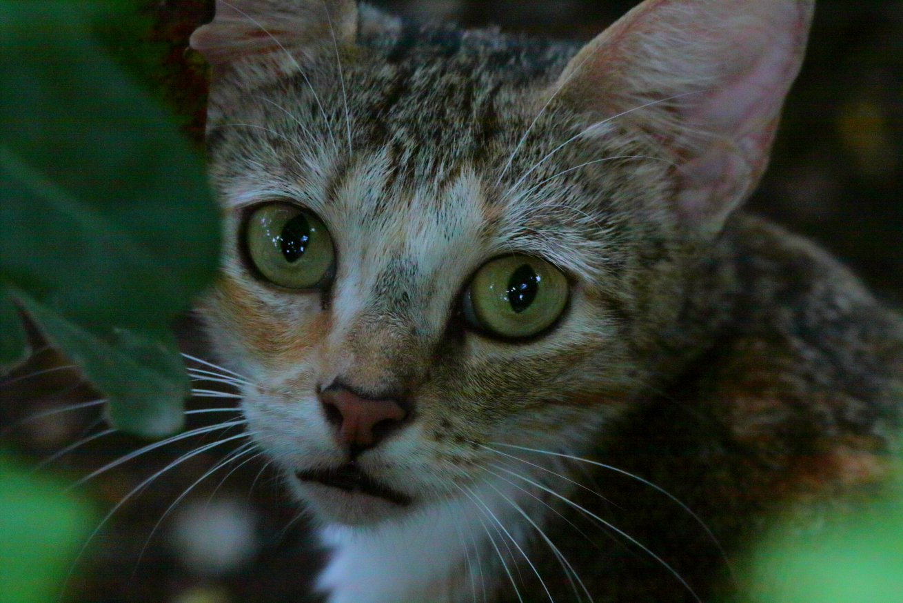 2015 08 27 HTP 3868