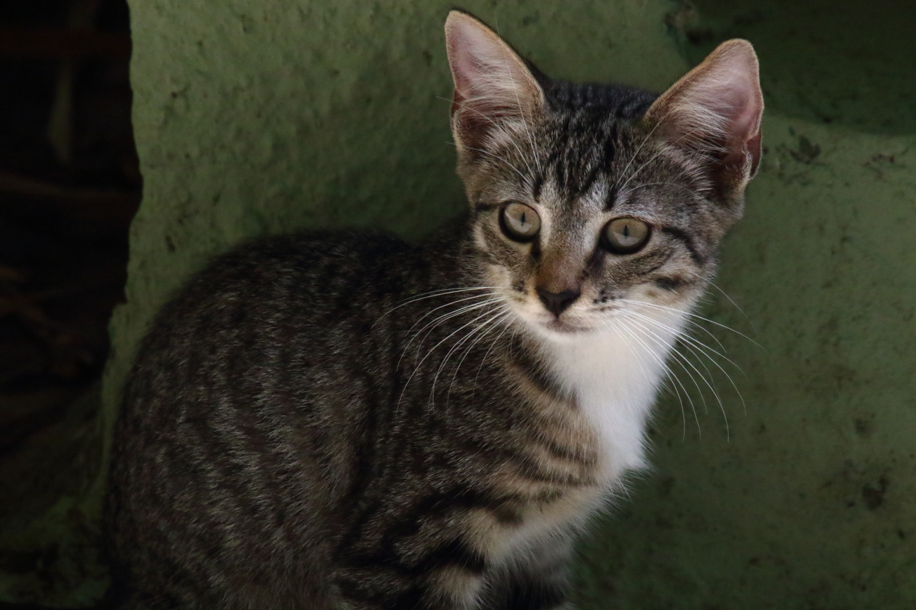 2015 08 31 HTP 04276