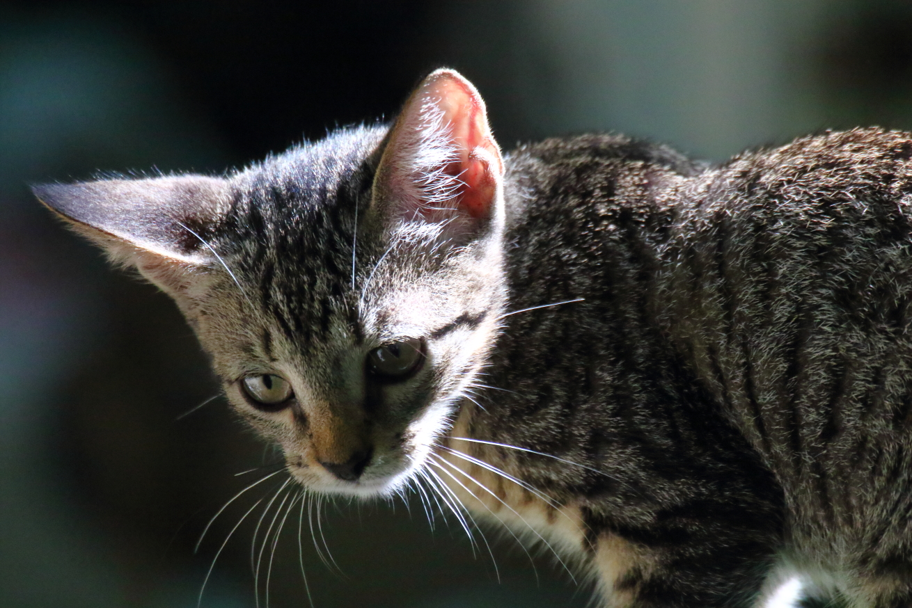 2015 08 31 HTP 04285e