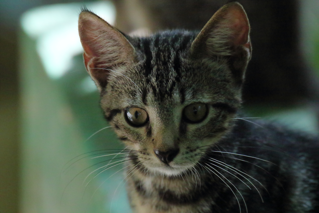 2015 08 31 HTP 04287e