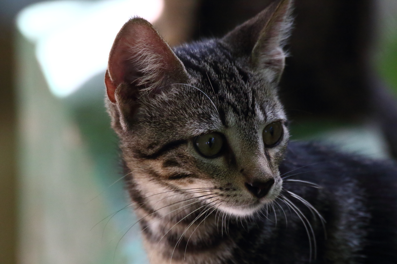 2015 08 31 HTP 04289
