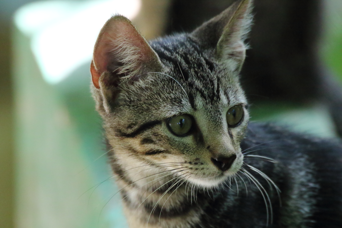 2015 08 31 HTP 04289e