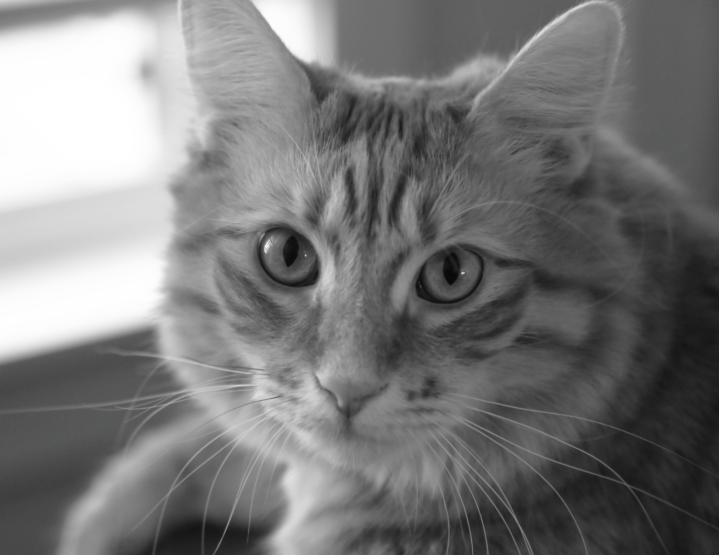 2019 05 29 HTP 90009bw
