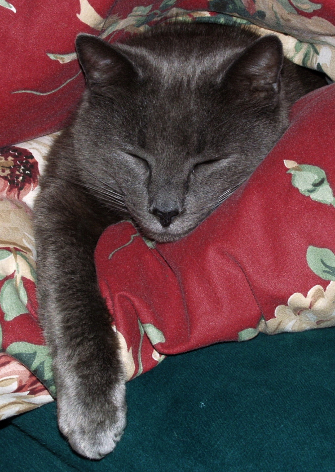 P6140240crop