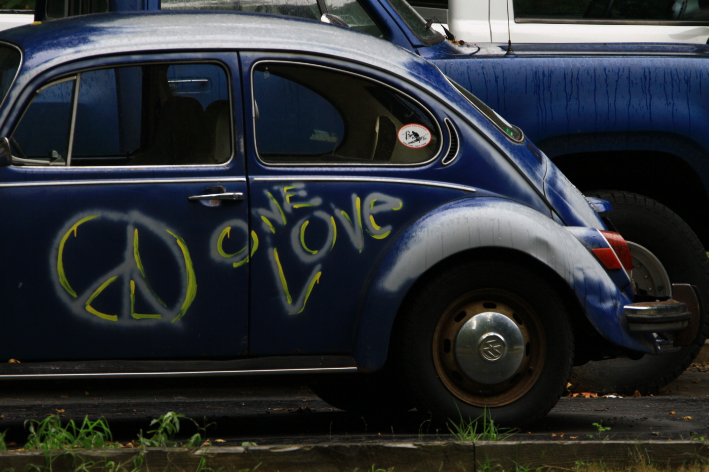 2010 08 12 IMG 04845cc