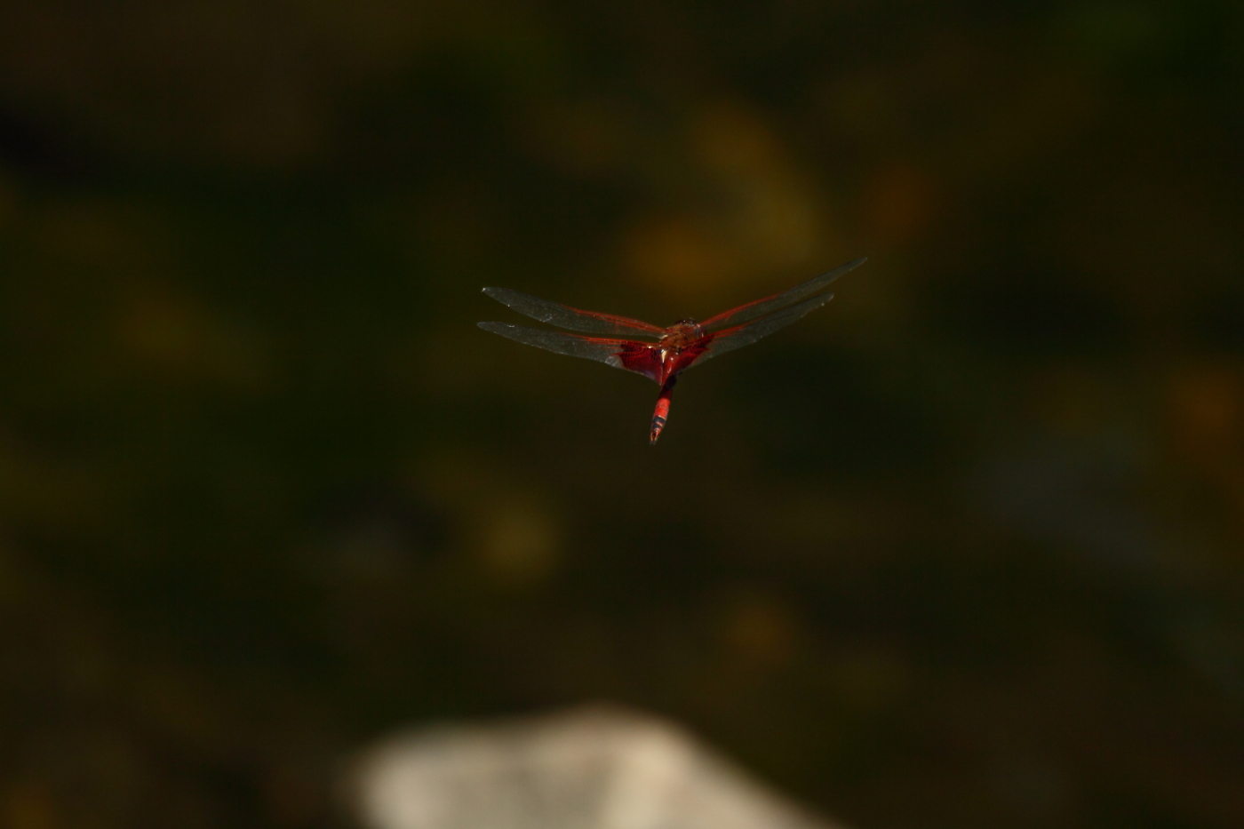 2013 06 01 IMG 08178