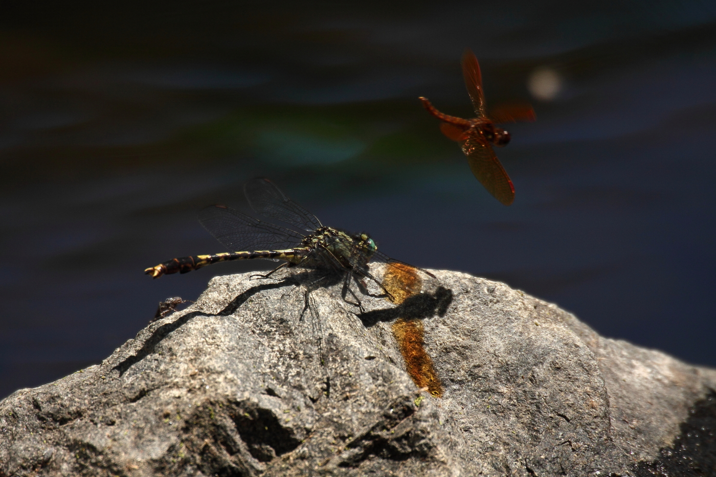 2013 06 12 IMG 10333e