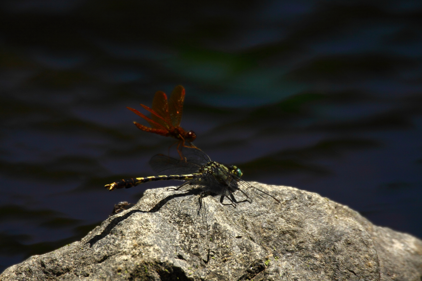 2013 06 12 IMG 10337e