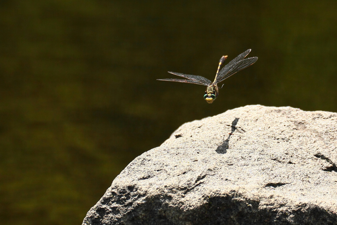 2013 06 12 IMG 10441e