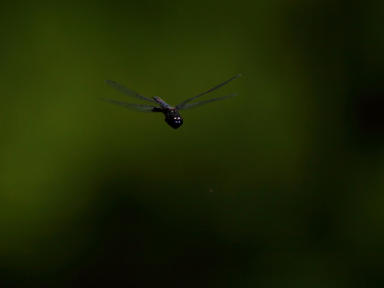 2013 06 14 IMG 10646e
