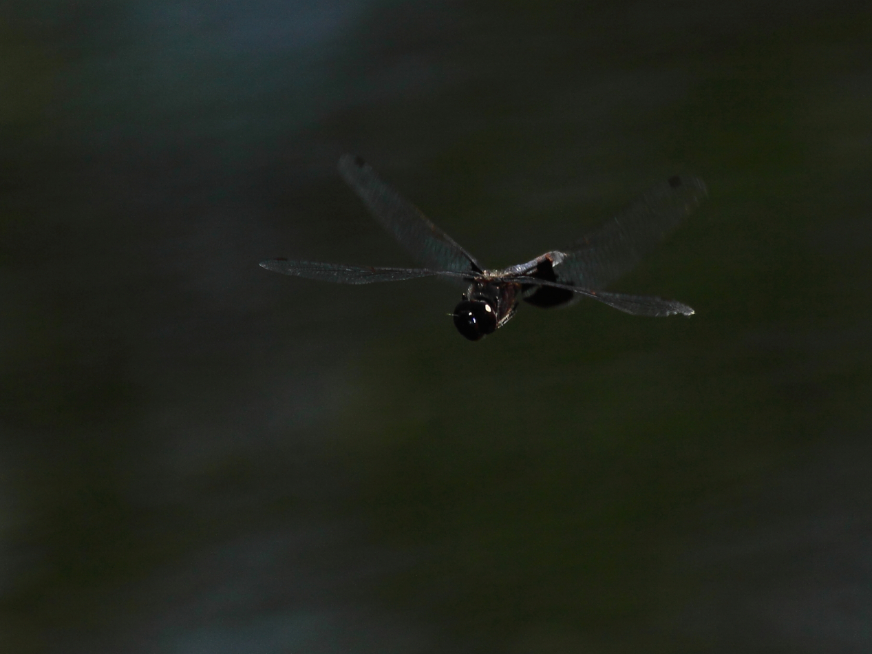 2013 06 14 IMG 10657e
