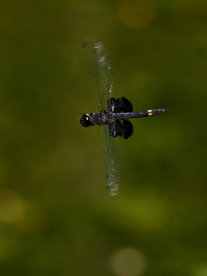 2013 06 19 IMG 11280e