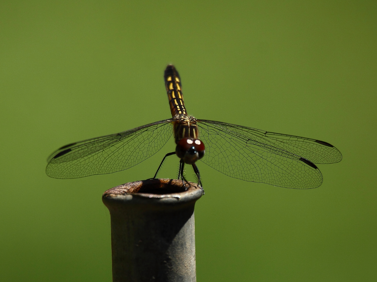 2013 06 23 IMG 11497e