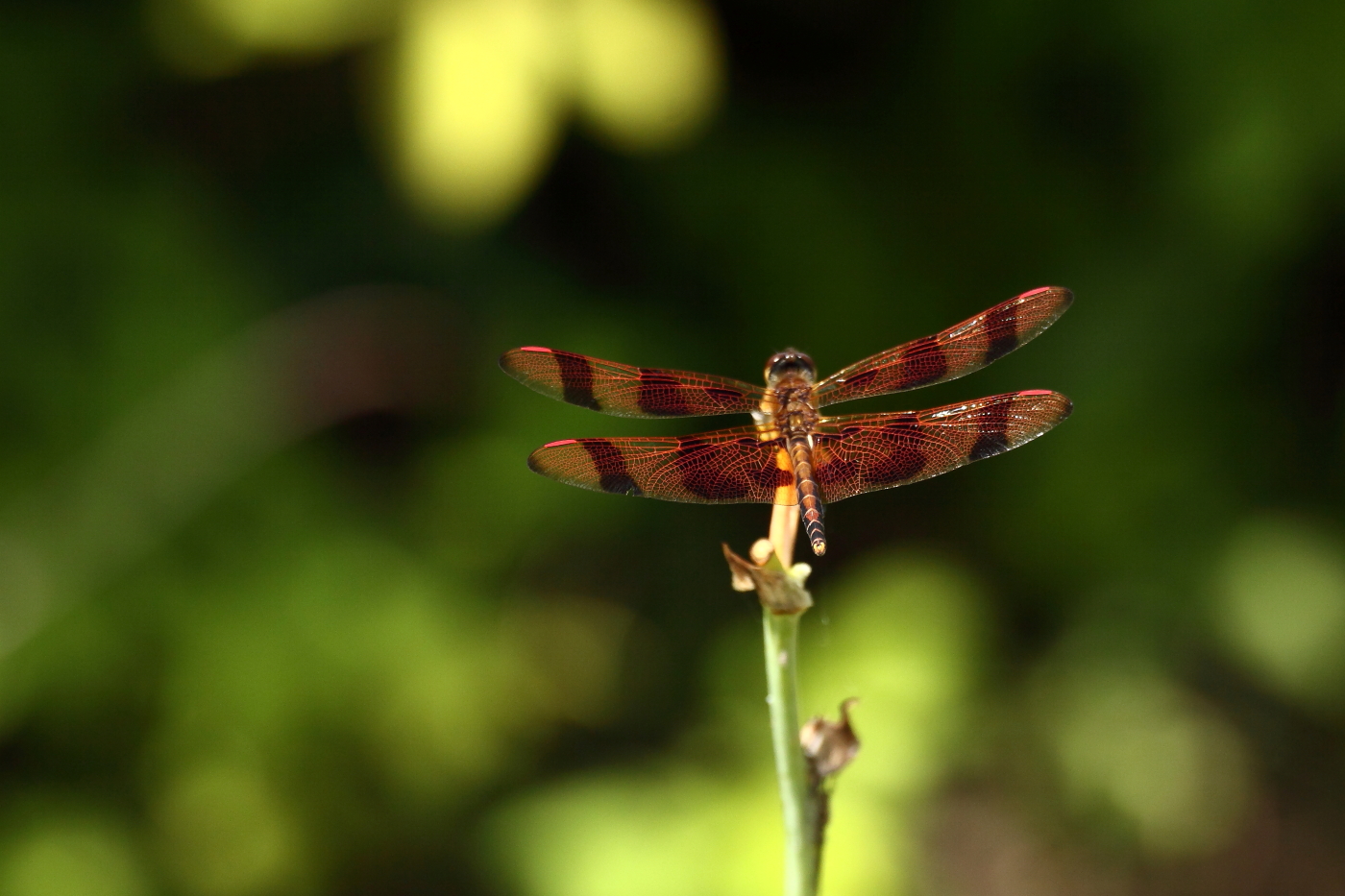 2013 07 14 IMG 13602e