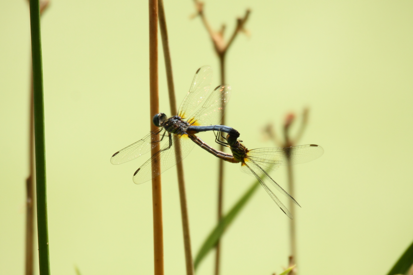 2013 07 14 IMG 13627