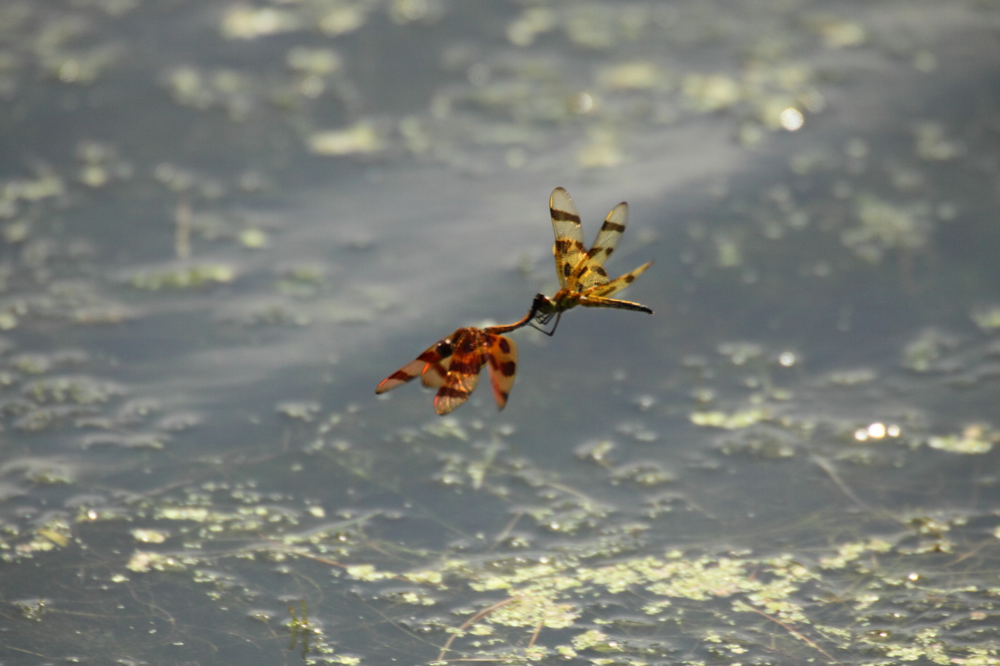 2013 07 14 IMG 13646