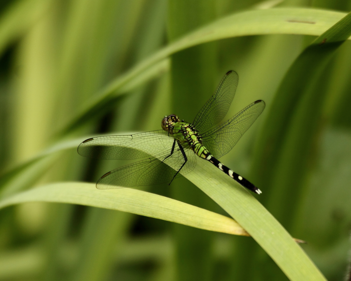 2013 07 28 IMG 15116e