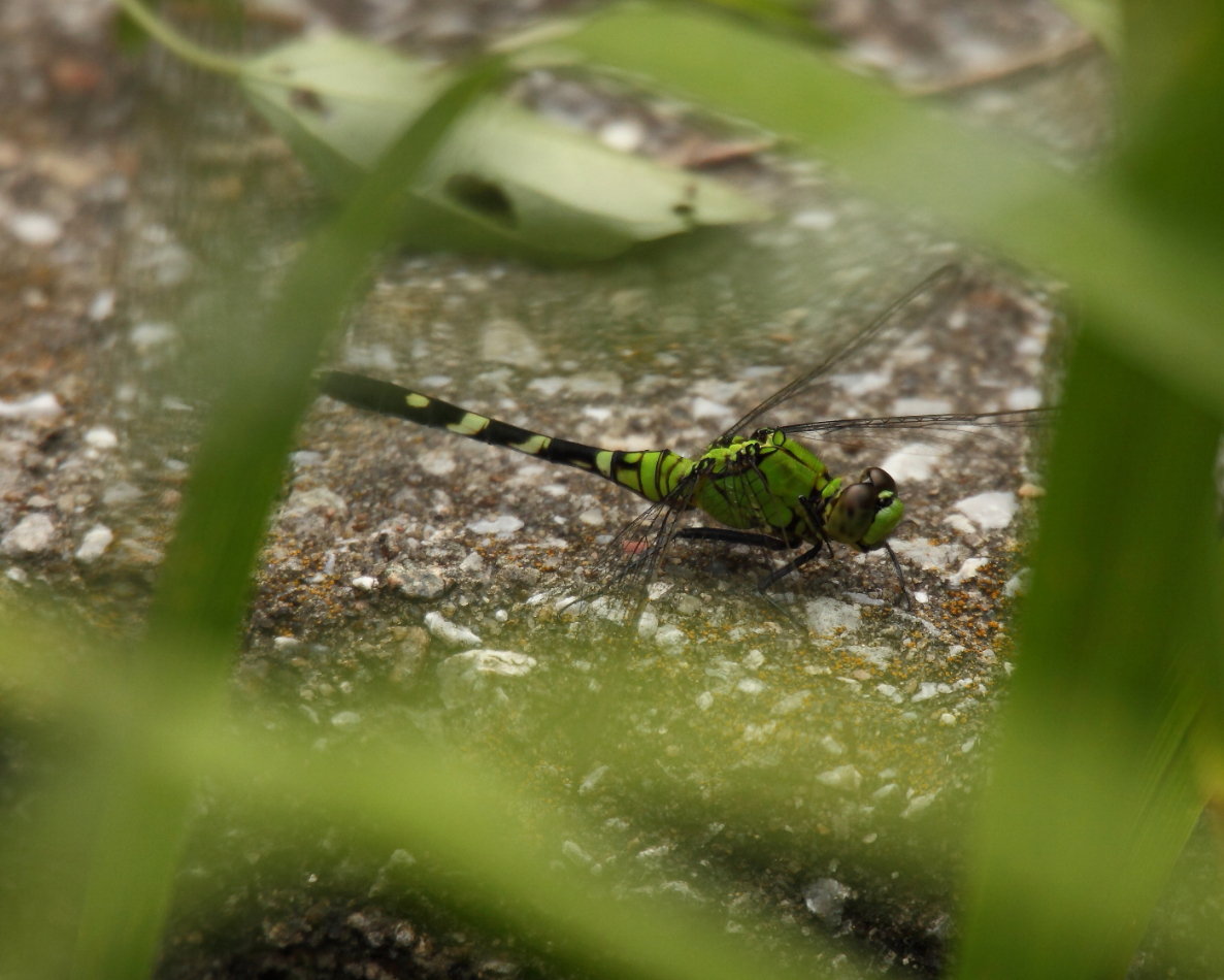 2013 07 28 IMG 15127e