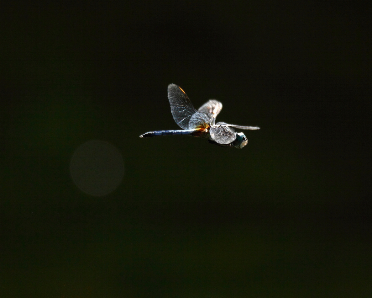 2013 08 14 HTP 02773e