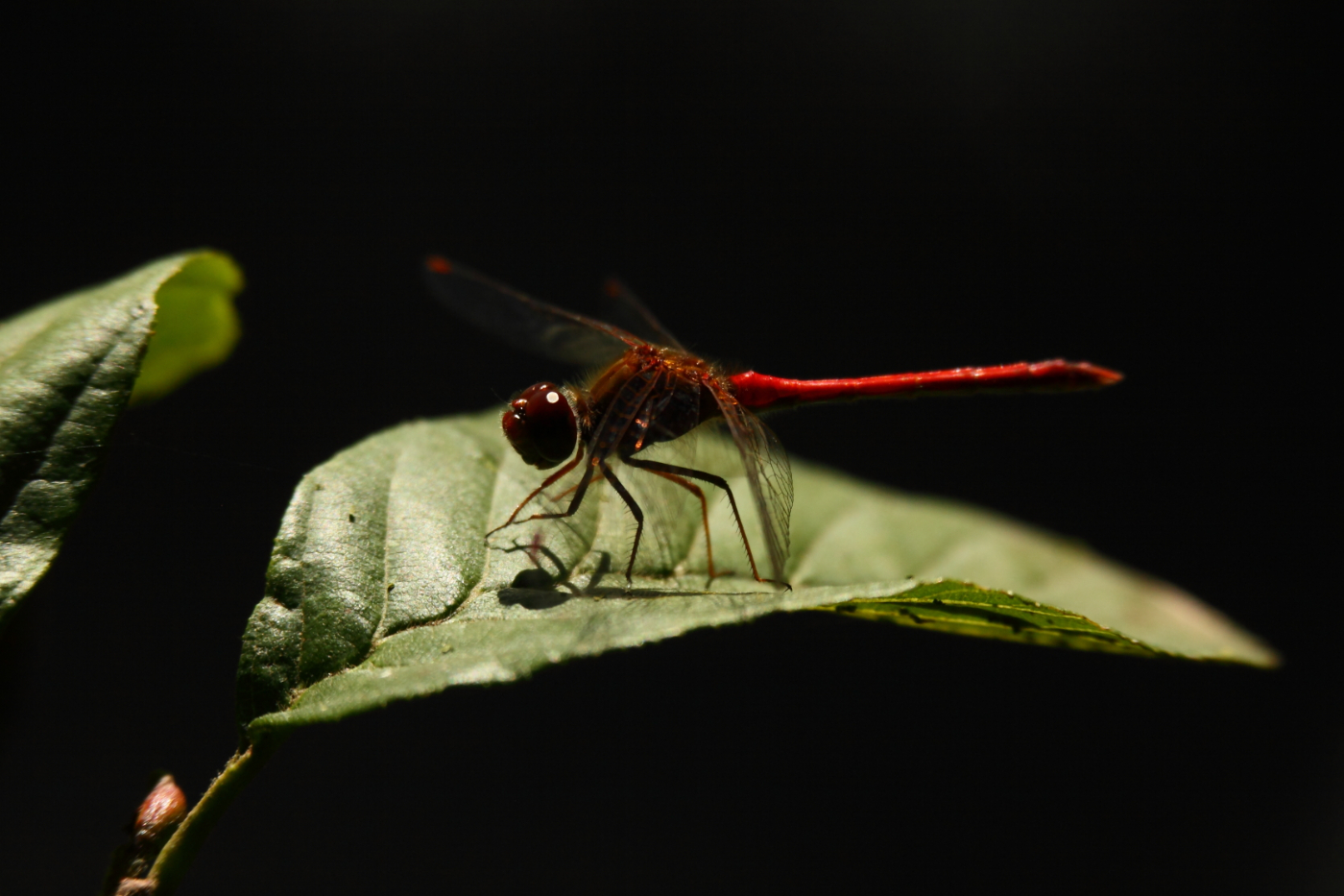 2014 09 23 HTP 88953
