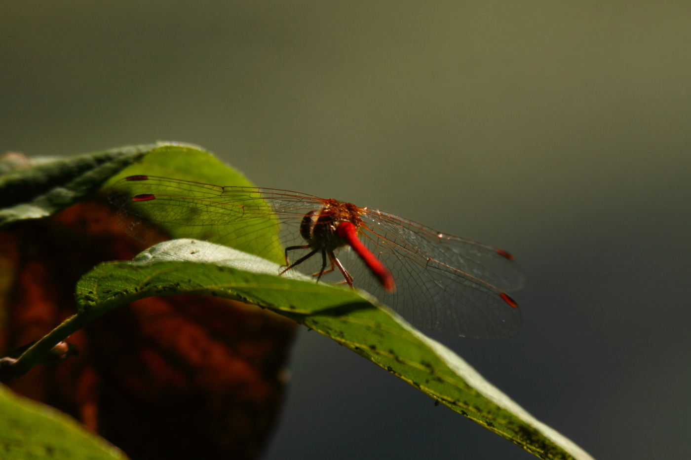 2014 09 23 HTP 88968