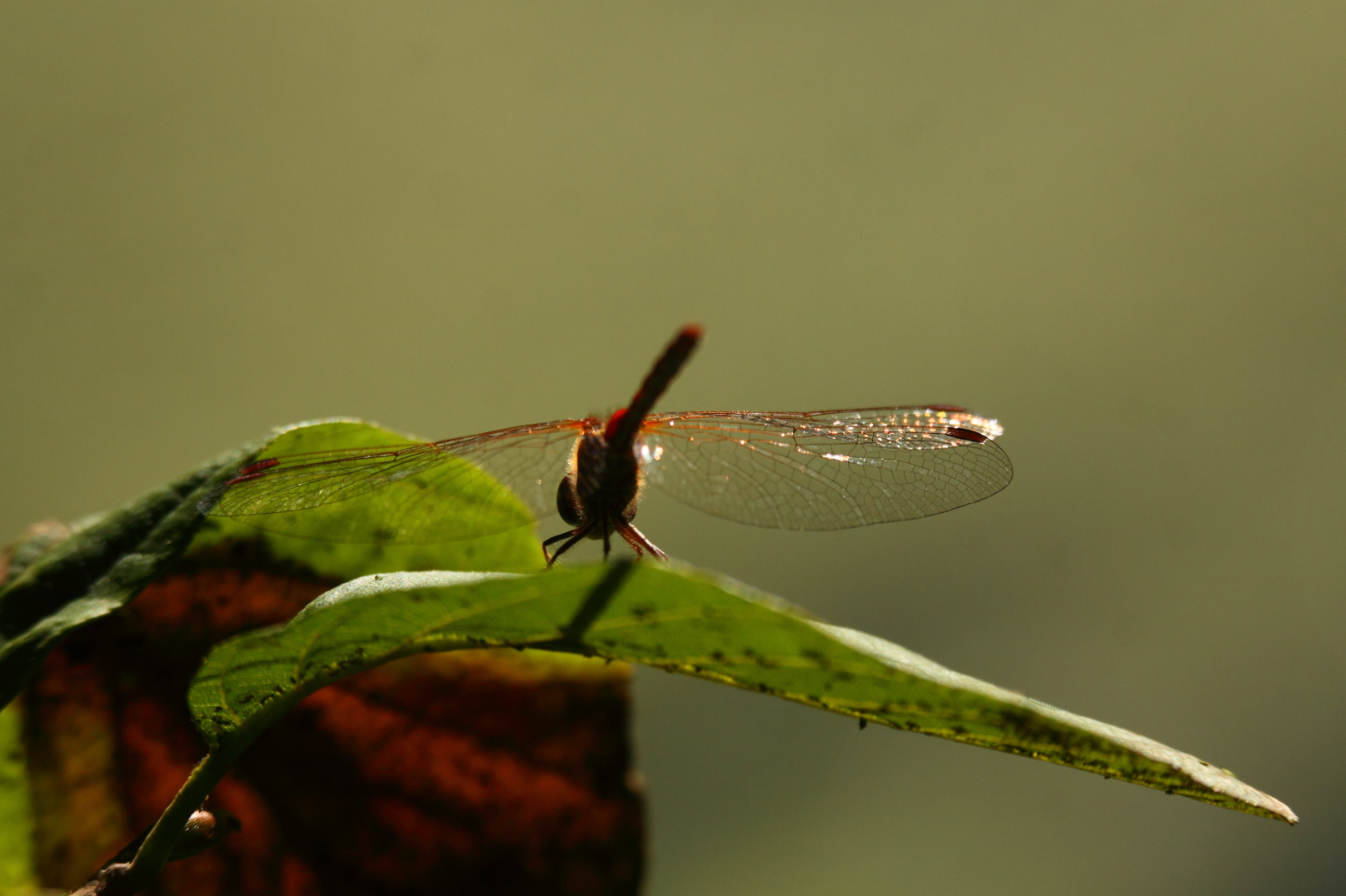 2014 09 23 HTP 88979
