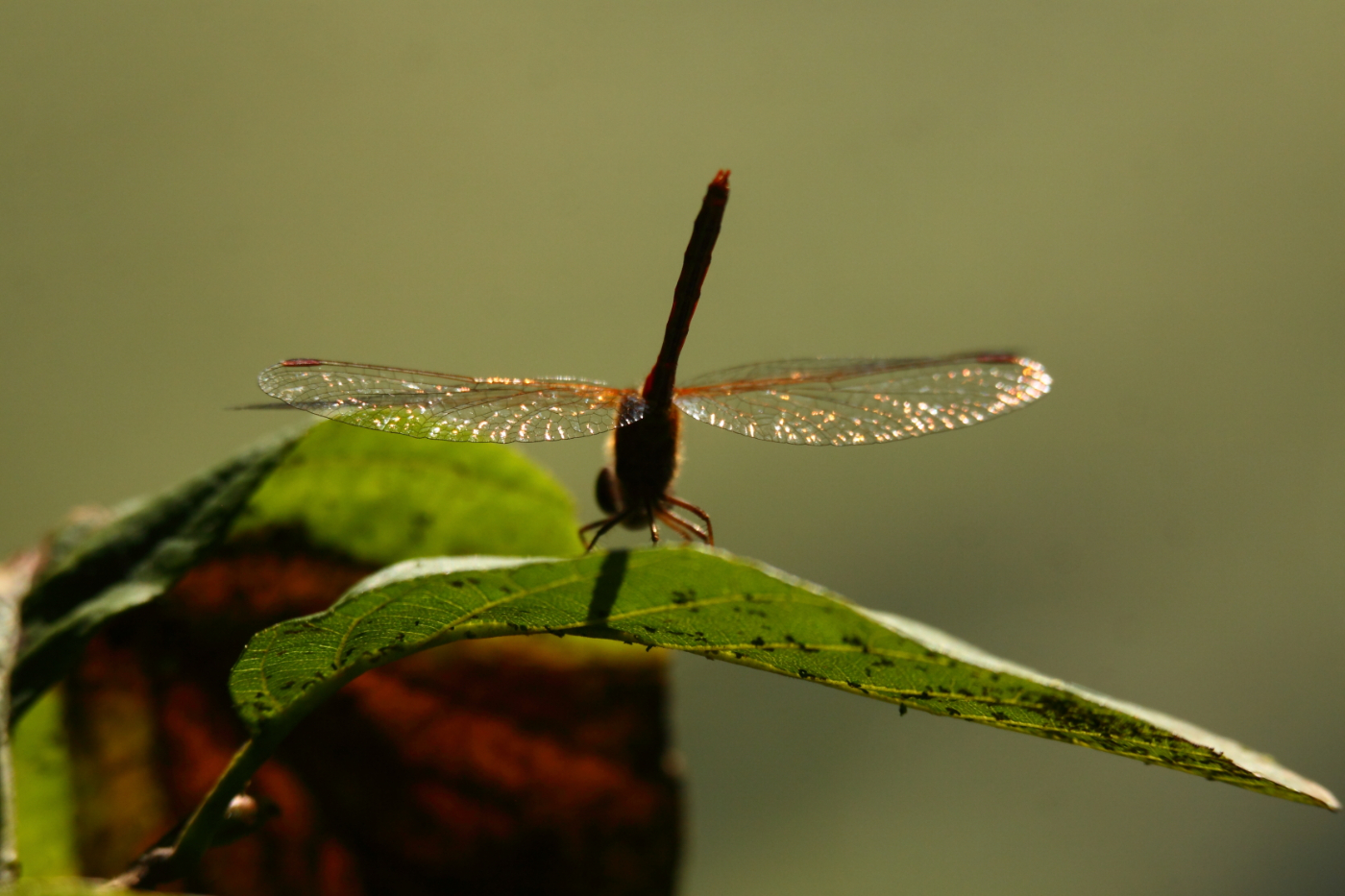 2014 09 23 HTP 88983