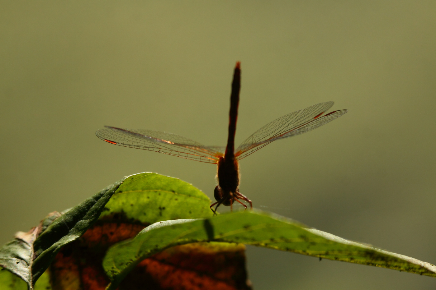 2014 09 23 HTP 88986
