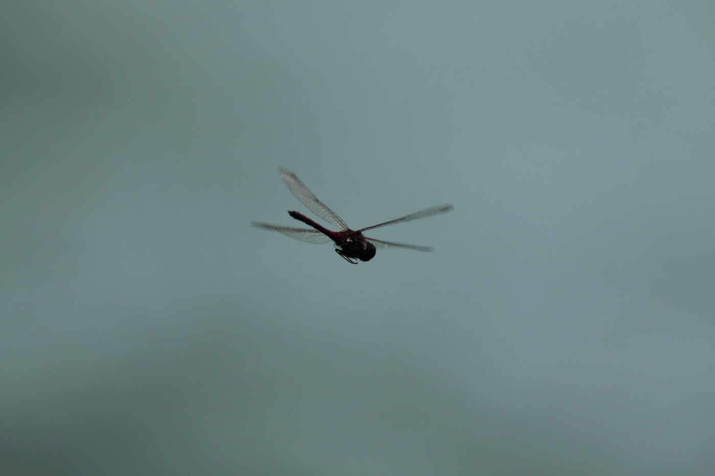 2014 09 29 HTP 92647e