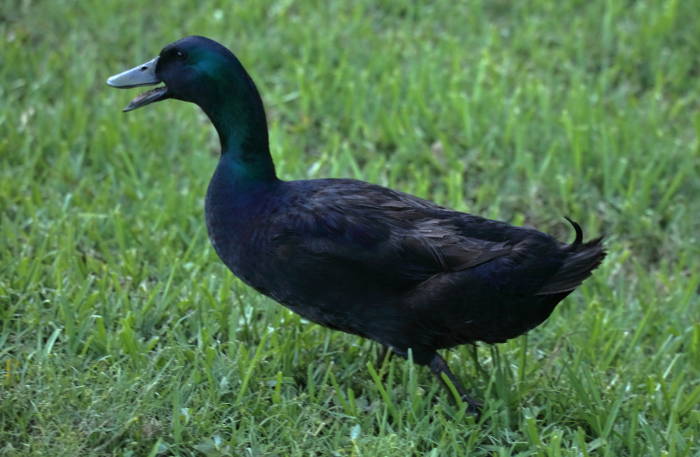 2019 05 23 HTP 50776e