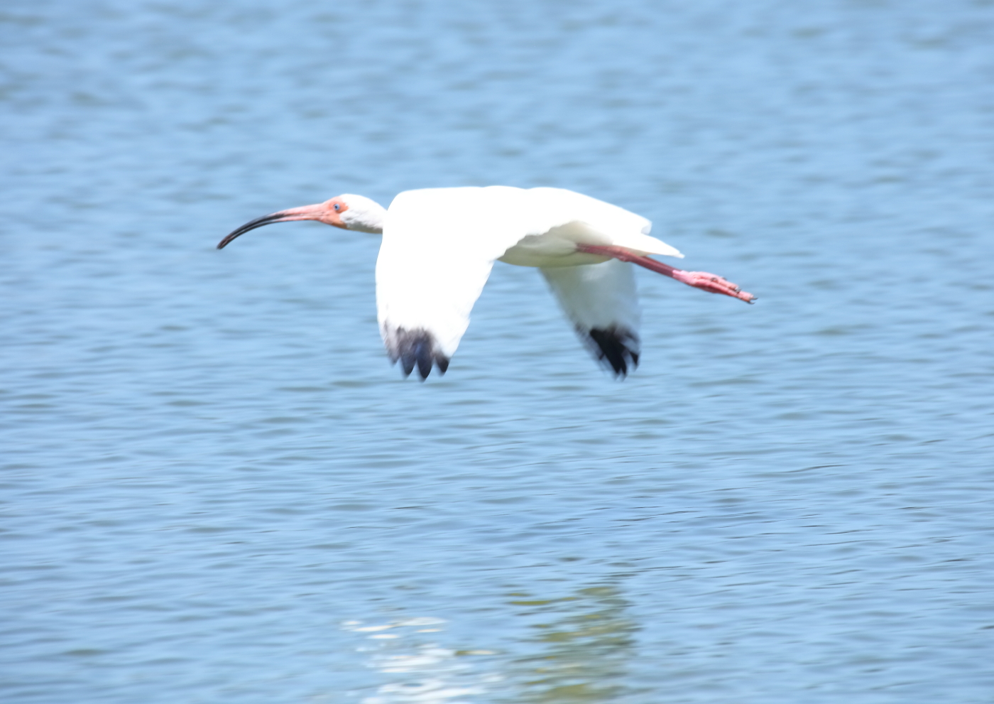 2019 05 24 HTP 90439e