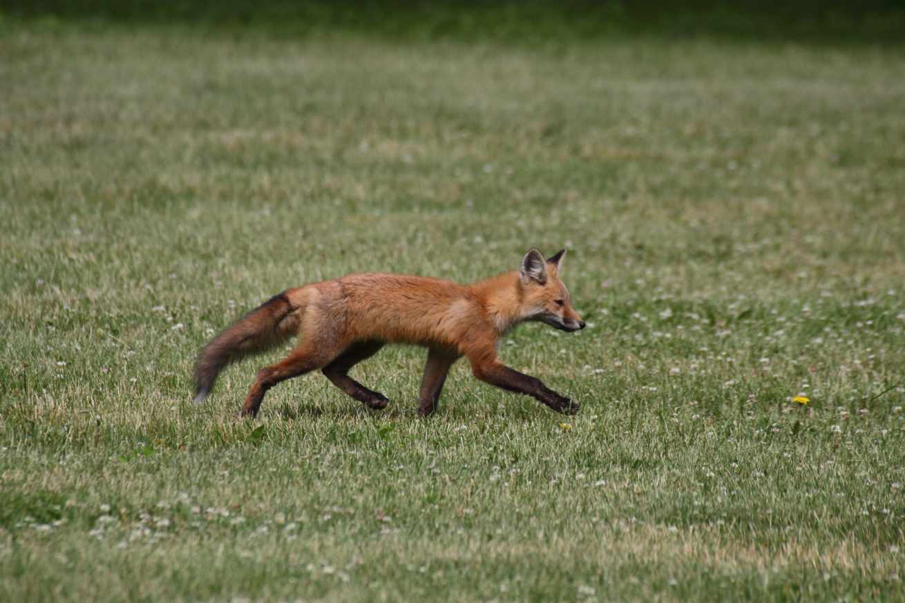 2015 06 19 HTP 000067051