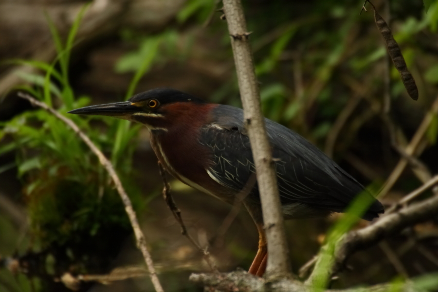 2013 05 22 IMG 07455
