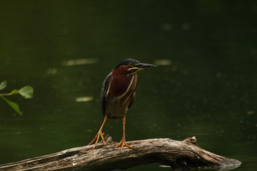 2013 05 22 IMG 07480
