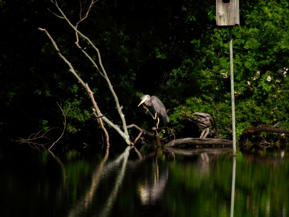 2013 06 15 IMG 10887e