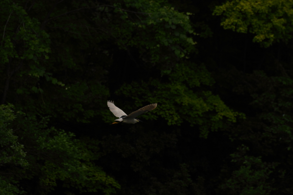2013 06 17 IMG 10927