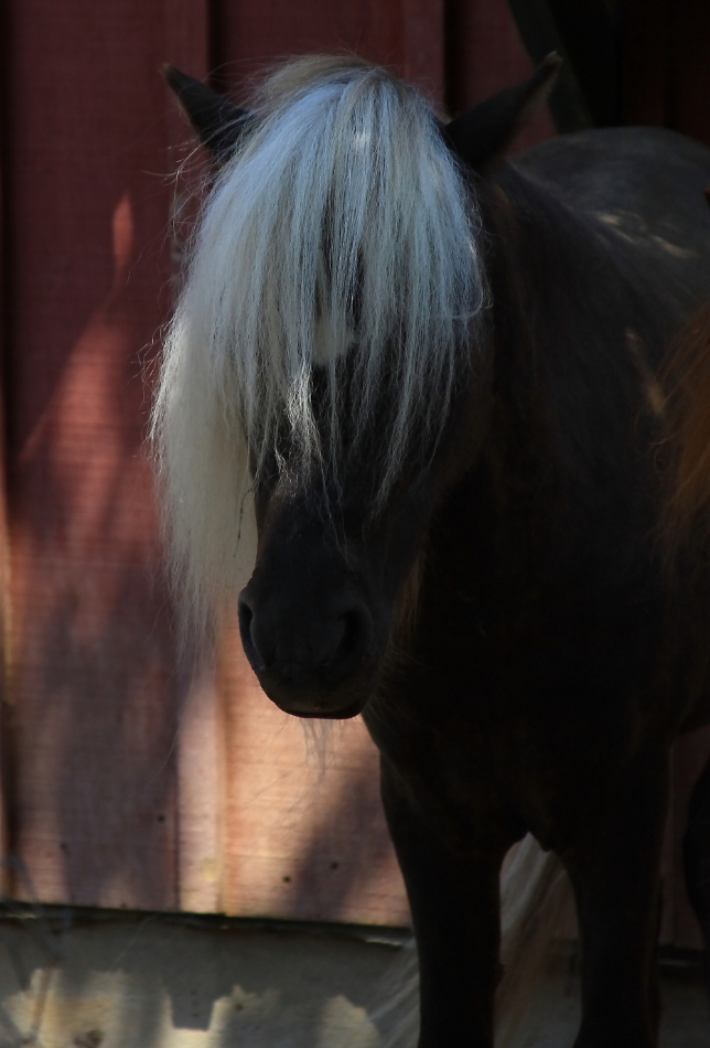 2010 08 08 IMG 04460