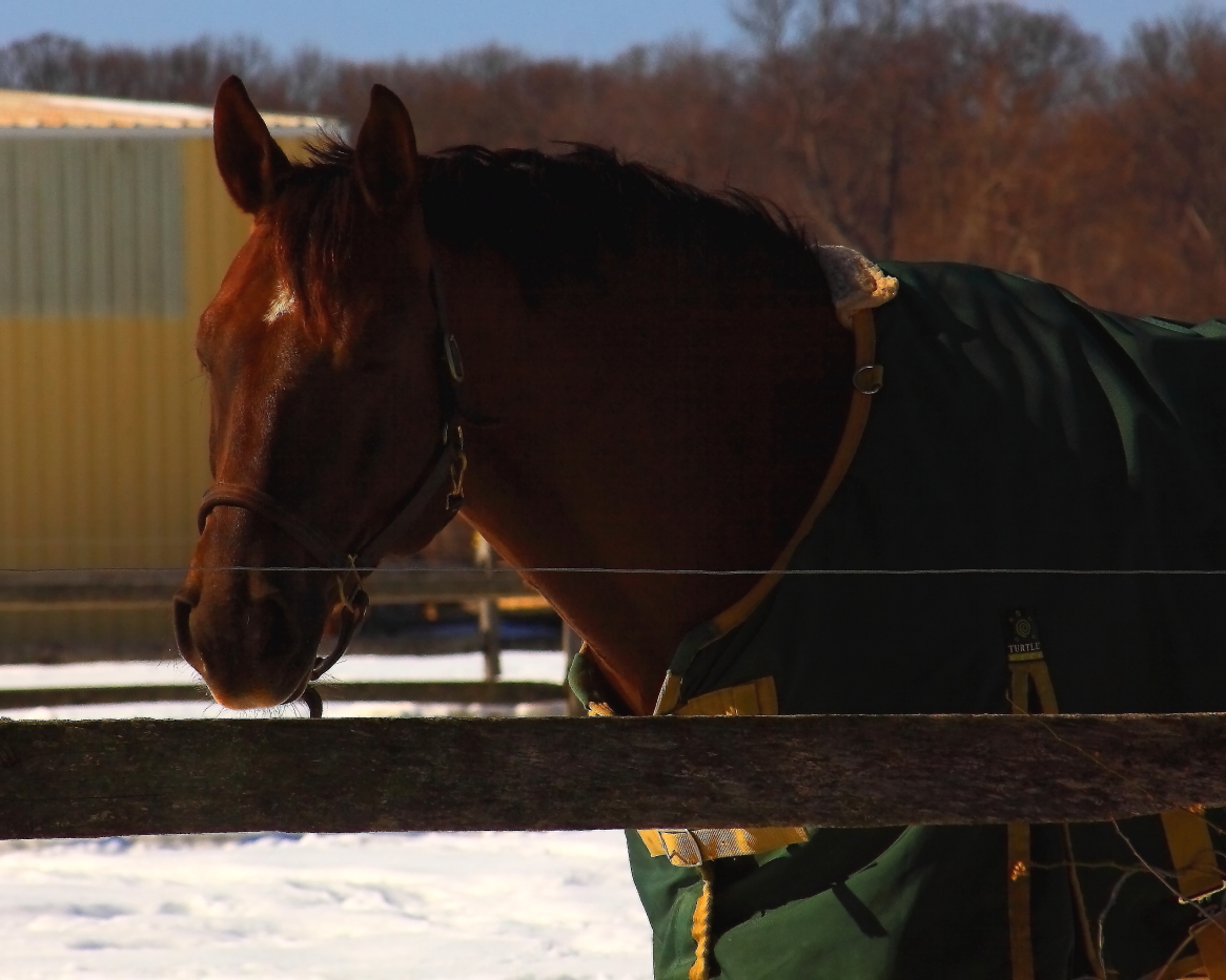 2011 02 06 IMG 20281e
