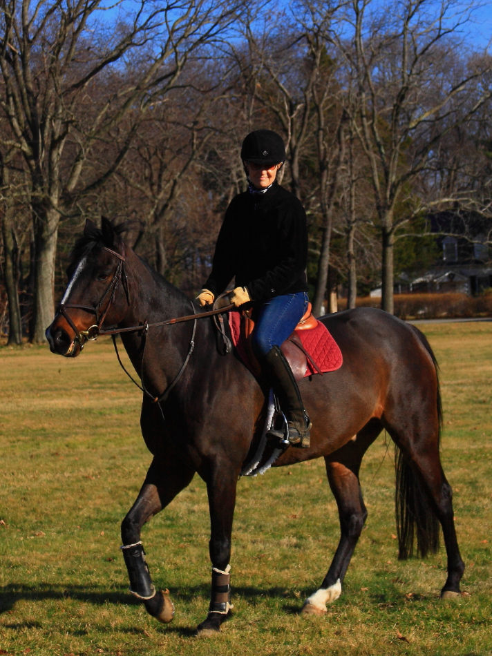 2012 01 01 4971e