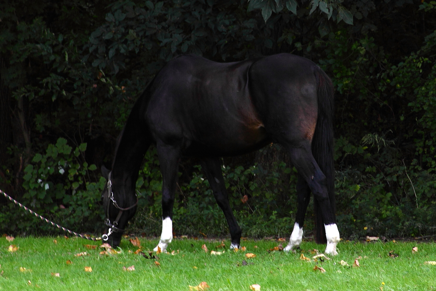 2012 10 06 9999 49e