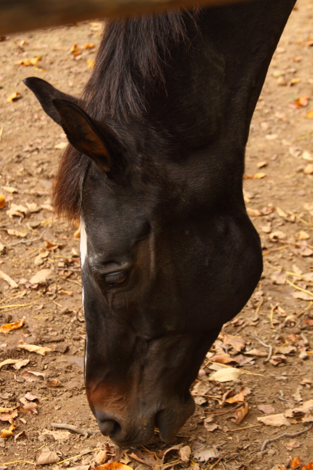 2012 10 27 9999 71