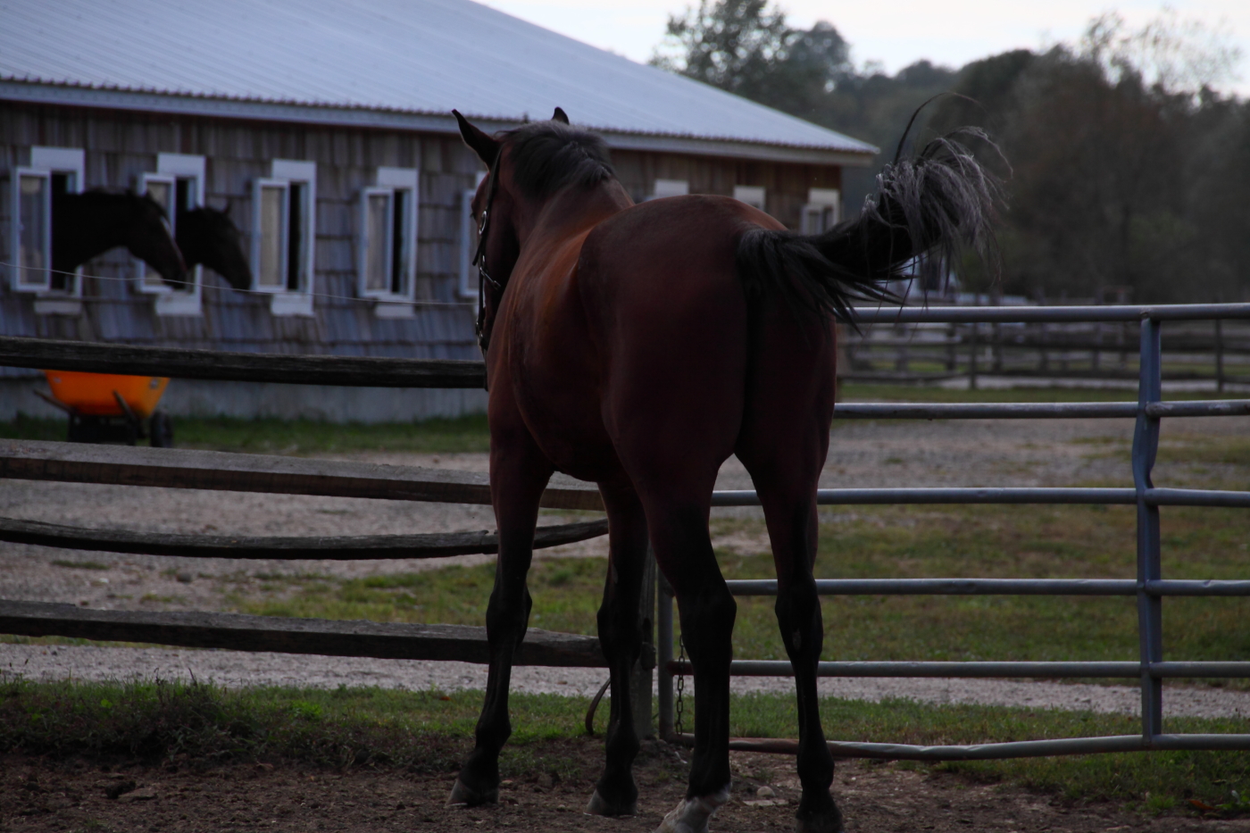 2013 10 12 HTP 13485