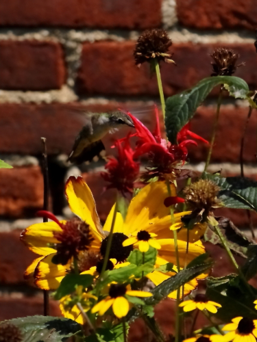 2011 08 20 IMG 35984e