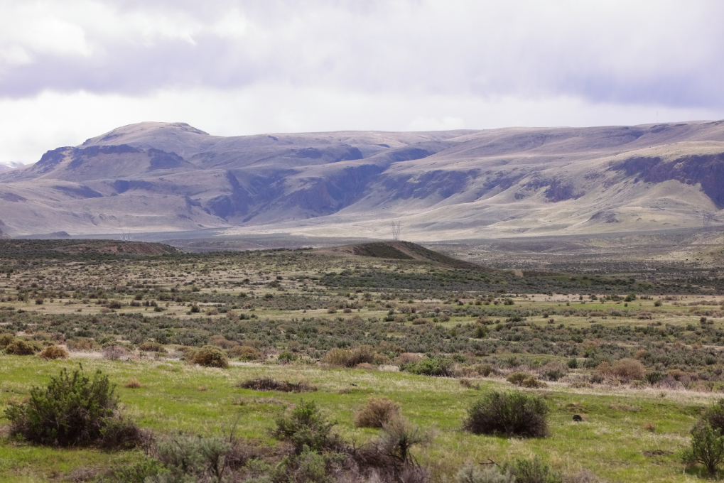 Idaho