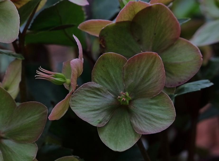 2019 04 15 HTP 90429