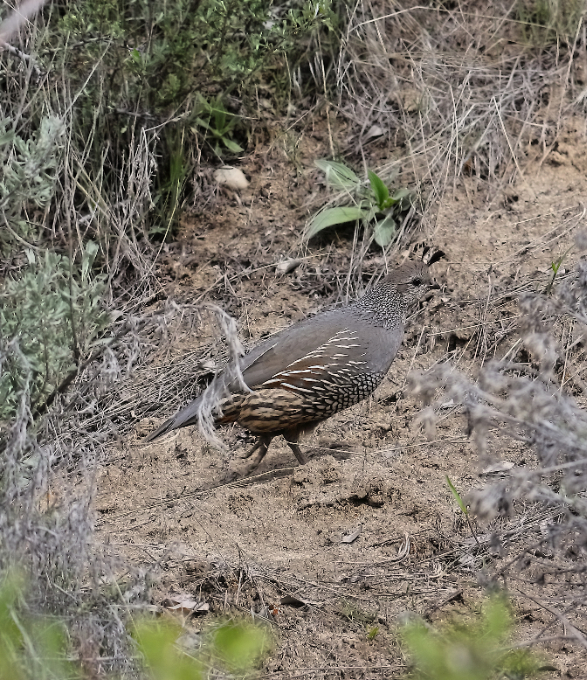 2019 04 15 HTP 90690