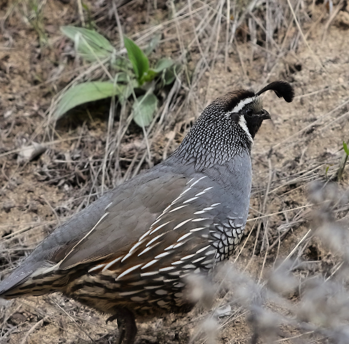 2019 04 15 HTP 90693