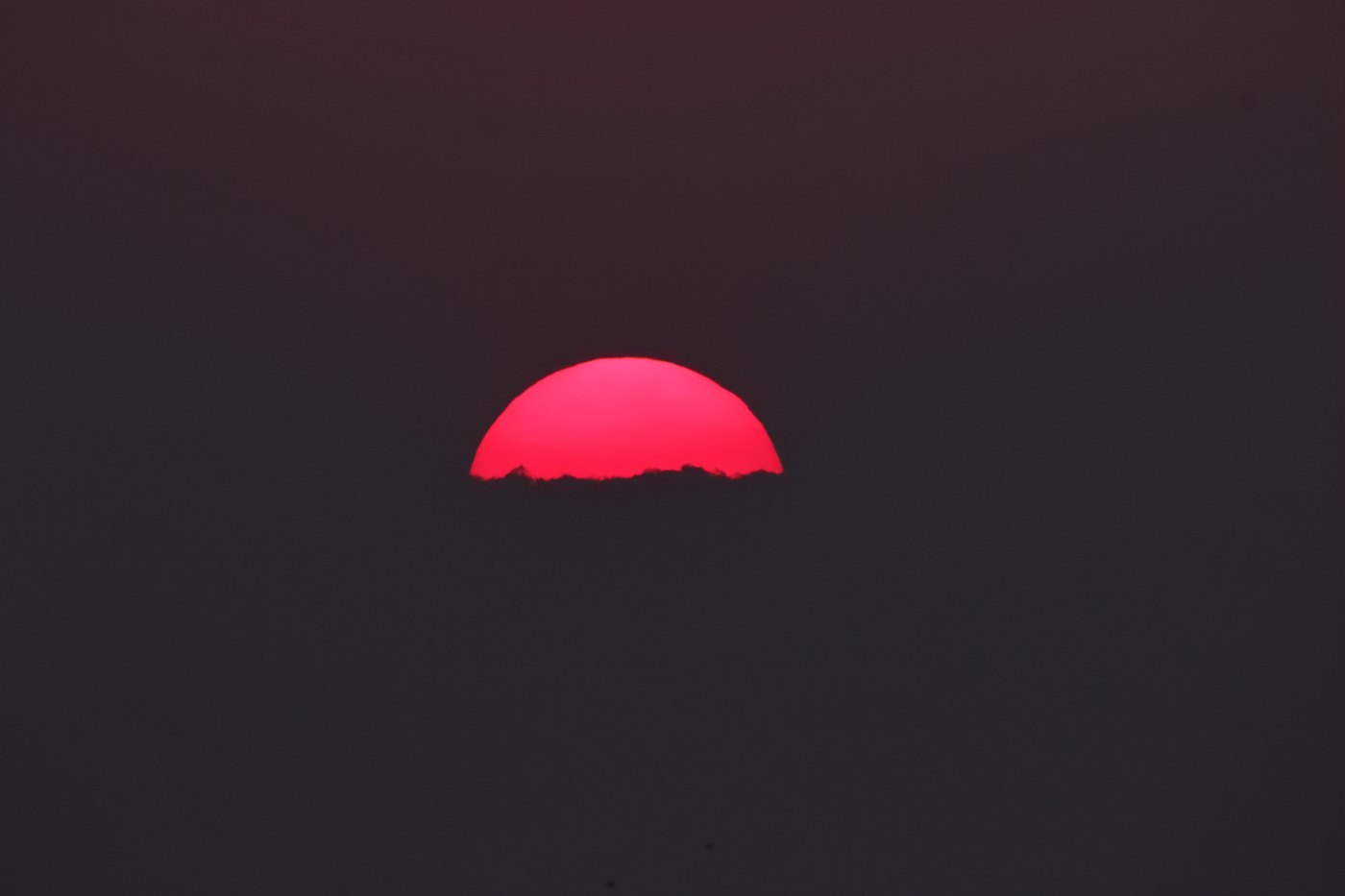 2023 08 16 HTP 50035e